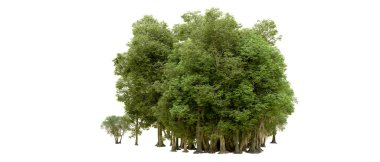 Beyaz arkaplanda 3 boyutlu yeşil ağaçların görüntülenmesi