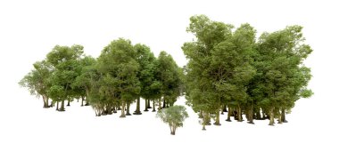 Beyaz arkaplanda 3 boyutlu yeşil ağaçların görüntülenmesi