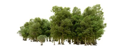 Beyaz arkaplanda 3 boyutlu yeşil ağaçların görüntülenmesi