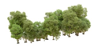 Beyaz arkaplanda 3 boyutlu yeşil ağaçların görüntülenmesi