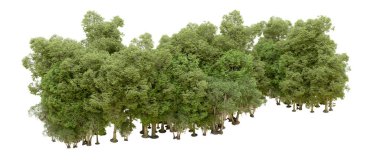 Beyaz arkaplanda 3 boyutlu yeşil ağaçların görüntülenmesi