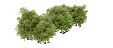 Beyaz arkaplanda 3 boyutlu yeşil ağaçların görüntülenmesi