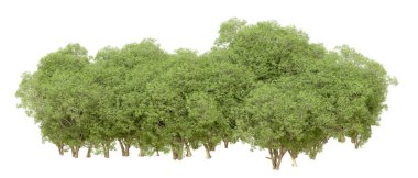 Beyaz arkaplanda 3 boyutlu yeşil ağaçların görüntülenmesi