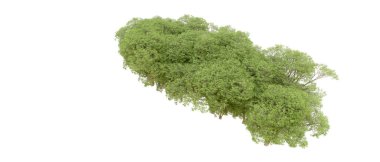 Beyaz arkaplanda 3 boyutlu yeşil ağaçların görüntülenmesi