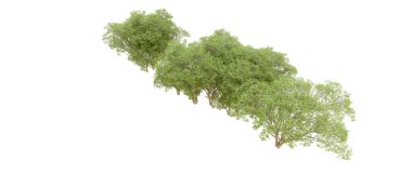 Beyaz arkaplanda 3 boyutlu yeşil ağaçların görüntülenmesi