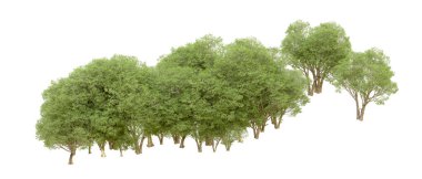 Beyaz arkaplanda 3 boyutlu yeşil ağaçların görüntülenmesi