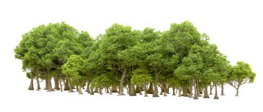 Beyaz arkaplanda 3 boyutlu yeşil ağaçların görüntülenmesi