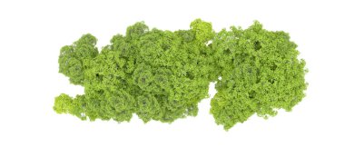 Beyaz arkaplanda 3 boyutlu yeşil ağaçların görüntülenmesi