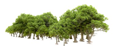 Beyaz arkaplanda 3 boyutlu yeşil ağaçların görüntülenmesi