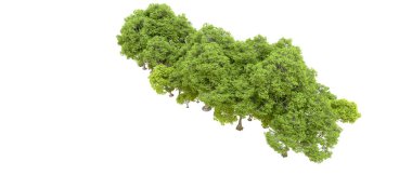 Beyaz arkaplanda 3 boyutlu yeşil ağaçların görüntülenmesi