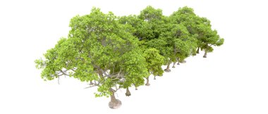 Beyaz arkaplanda 3 boyutlu yeşil ağaçların görüntülenmesi