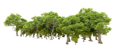 Beyaz arkaplanda 3 boyutlu yeşil ağaçların görüntülenmesi