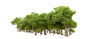 Beyaz arkaplanda 3 boyutlu yeşil ağaçların görüntülenmesi