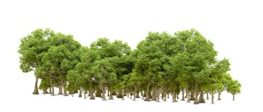 Beyaz arkaplanda 3 boyutlu yeşil ağaçların görüntülenmesi