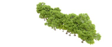 Beyaz arkaplanda 3 boyutlu yeşil ağaçların görüntülenmesi