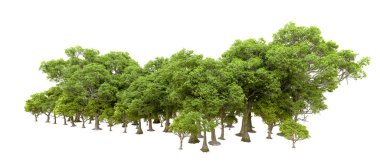 Doğa. Beyaz arkaplanda yeşil ağaçlar izole     