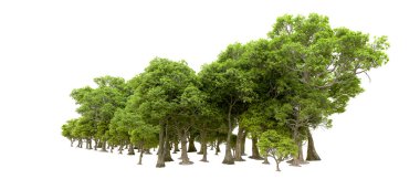 Beyaz arkaplanda 3 boyutlu yeşil ağaçların görüntülenmesi