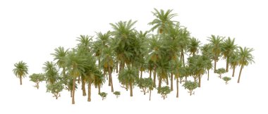 Tropical forest isolated on white background. 3d rendering - illustration