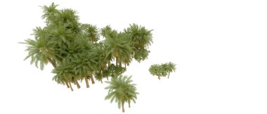 Tropical forest isolated on white background. 3d rendering - illustration
