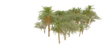 Tropical forest isolated on white background. 3d rendering - illustration