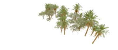 Tropical forest isolated on white background. 3d rendering - illustration