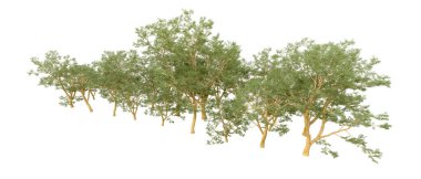 Doğa. Beyaz arkaplanda yeşil ağaçlar izole     