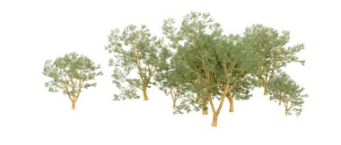 Doğa. Beyaz arkaplanda yeşil ağaçlar izole     