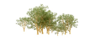 Doğa. Beyaz arkaplanda yeşil ağaçlar izole     