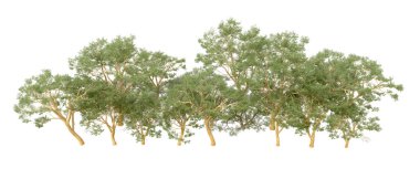 Doğa. Beyaz arkaplanda yeşil ağaçlar izole     