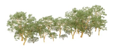 Doğa. Beyaz arkaplanda yeşil ağaçlar izole     