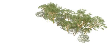 Doğa. Beyaz arkaplanda yeşil ağaçlar izole     