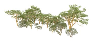 Doğa. Beyaz arkaplanda yeşil ağaçlar izole     