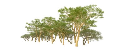 Doğa. Beyaz arkaplanda yeşil ağaçlar izole     