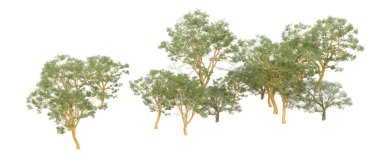 Doğa. Beyaz arkaplanda yeşil ağaçlar izole     