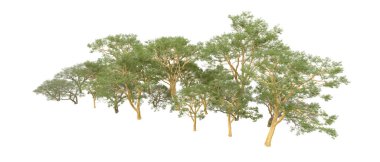 Doğa. Beyaz arkaplanda yeşil ağaçlar izole     