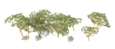 Doğa. Beyaz arkaplanda yeşil ağaçlar izole     