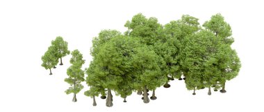 Doğa. Beyaz arkaplanda yeşil ağaçlar izole     