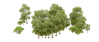 Doğa. Beyaz arkaplanda yeşil ağaçlar izole     