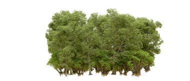 Doğa. Beyaz arkaplanda yeşil ağaçlar izole     