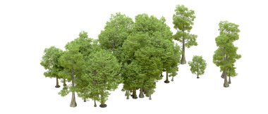 Doğa. Beyaz arkaplanda yeşil ağaçlar izole     