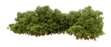 Doğa. Beyaz arkaplanda yeşil ağaçlar izole     