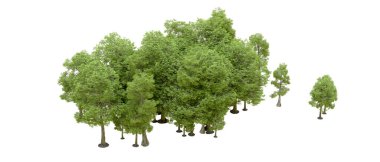 Doğa. Beyaz arkaplanda yeşil ağaçlar izole     