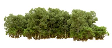 Doğa. Beyaz arkaplanda yeşil ağaçlar izole     