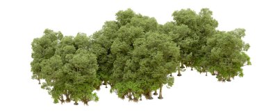 Doğa. Beyaz arkaplanda yeşil ağaçlar izole     