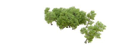 Doğa. Beyaz arkaplanda yeşil ağaçlar izole     