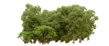 Doğa. Beyaz arkaplanda yeşil ağaçlar izole     