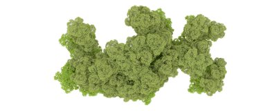 Doğa. Beyaz arkaplanda yeşil ağaçlar izole     