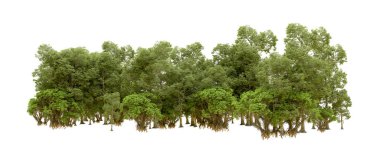 Doğa. Beyaz arkaplanda yeşil ağaçlar izole     