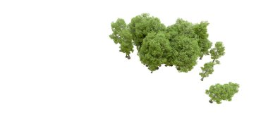 Doğa. Beyaz arkaplanda yeşil ağaçlar izole     