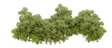 Doğa. Beyaz arkaplanda yeşil ağaçlar izole     